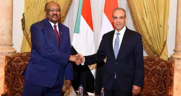 مصر تدعم «عملية سياسية دون تدخلات خارجية» في السودان