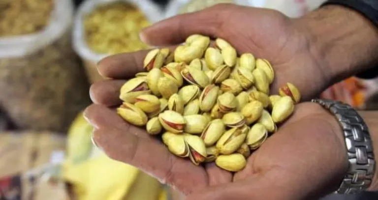 ماذا يحدث لضغط الدم عند تناول الفستق يومياً؟