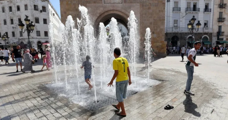 «فيتش» تثبّت تصنيف تونس عند «بي -» بنظرة مستقرة