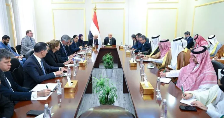 العليمي للسفراء: الحوثيون اختاروا الحرب وعليهم تحمل نتائجها