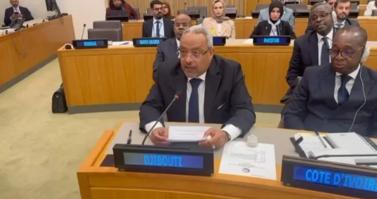 جيبوتي تحت ضغوط «اضطرابات الجوار»