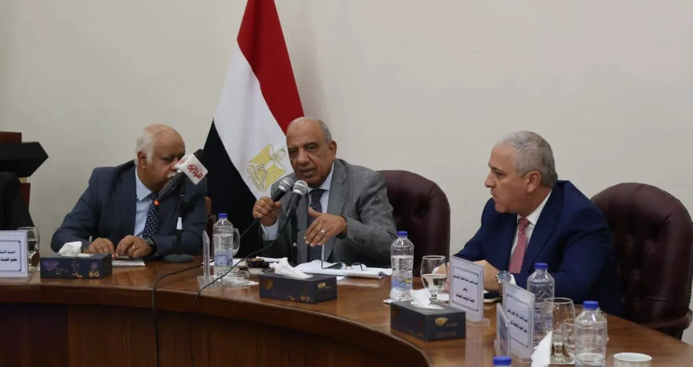 الربط الكهربائي السعودي - المصري يقترب من التشغيل