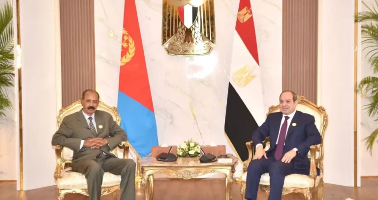 مصر تنسق مع إريتريا والسودان والصومال بشأن اضطرابات «القرن الأفريقي»
