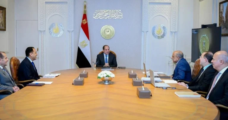 السيسي يدعو لتوطين صناعات الرمال السوداء والعناصر النادرة في مصر